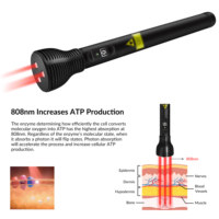 Appareil de thérapie par laser à lumière rouge LLLT 808 nm pour le soulagement de la douleur équine, l'arthrite et le traitement de la douleur sciatique