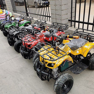 Mini Quad Elettrico per Bambini, Buggy da Spiaggia in Metallo con Motore da 350W per Parchi Divertimento all'Aperto - Product Image 4