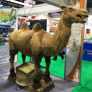 Zigong haichuan cao mô phỏng cuộc sống Kích thước animatronic mô hình lạc đà cho vườn thú công viên vườn trung tâm mua sắm - Product Image 3