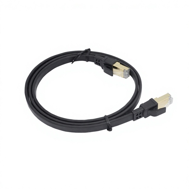 Black FTP Gold Plated RJ45 40Gbps 2000Mhz Patch Cord Flat Cat8 Ethernet Cable for Modem/Router/Gaming