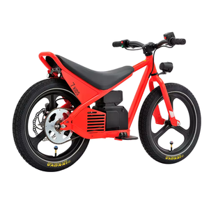 Bicicleta Eléctrica Infantil JYOP-SMKID con Motor sin Escobillas de 24V y 150W, 1 Velocidad, Batería de Litio de 4.2Ah, Cuadro de Aluminio, Frenos de Disco Hidráulicos, 20km/h de Velocidad Segura - Product Image 3