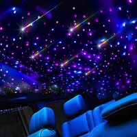 Lumière de plafond à fibres optiques LED RGBW à double port 20W, lumière d'étoiles scintillante, lumière d'ambiance pour toit de voiture, ciel étoilé