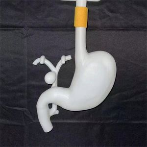 KyrenMed-Modelo de entrenamiento de Gastroscopia ERCP 3D, simulador de entrenamiento de cirugía gastroscópica con bandeja bucal y soporte - Product Image 5