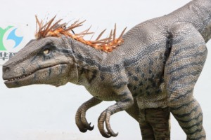 Disfraz <span class=keywords><strong>de</strong></span> Dinosaurio Realista Personalizado, Velociraptor Peludo con Patas Expuestas, para Adultos, Uso en Interiores/Exteriores, Parque <span class=keywords><strong>de</strong></span> Aventuras - Product Image 3