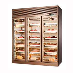 Refrigerador <span class=keywords><strong>de</strong></span> envejecimiento en seco, <span class=keywords><strong>Wagyu</strong></span> <span class=keywords><strong>filete</strong></span> <span class=keywords><strong>de</strong></span> carne, luz UV para carne, pantalla colgante para carne, Enfriador <span class=keywords><strong>de</strong></span> luz LED, vidrio <span class=keywords><strong>de</strong></span> clima frío, uso en restaurante - Product Image 4