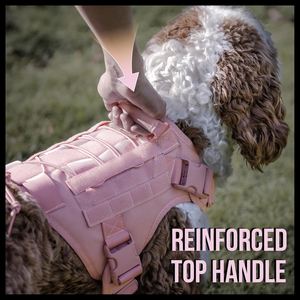 طقم طوق وحزام قابل للتعديل للكلاب مصنوع حسب الطلب من الشركة المصنعة الصينية - Product Image 5