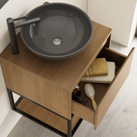 Meuble-lavabo mural en PVC pour salle de bain, avec cadre en métal noir, vasque en céramique, armoire aspect bois, ensemble compact pour hôtel, suite d'appartement