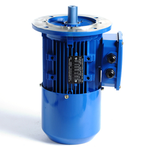 Entrega Rápida Motor de CA de 1500rpm, 1600rpm, 2800rpm, 2900rpm, 3000rpm, 600, 800, 1460, 1500, 1600, 1800, 2500, 2800 RPM - Product Image 1