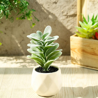Mini bonsaï artificiel élégant, fausse plante succulente, ornement de bureau, petite plante en pot simulée pour la décoration de la maison et de la table