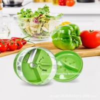 Multifunctionele plastic roestvrijstalen handmatige roterende rasp, fruit- en groentesnijder, aardappelschiller