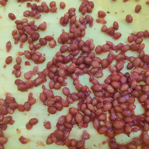 Machine automatique de dénoyautage de graines de cerises Machine commerciale de dénoyautage de graines de cerises - Product Image 5