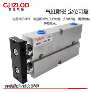 Cilindro de Doble Varilla Serie Chzlod Tn de 500 mm con Imán, Tipo Estándar - Product Image 4