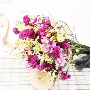 Nouvelle Arrivée Flora d'Été : Fournitures pour Fleuristes - Statice, Fleurs Éternelles Violettes, Myosotis, Fleurs Préservées - Product Image 4