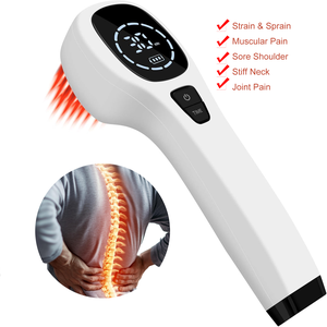 LLLT láser frío fisioterapia 650nm 808nm dispositivo de terapia láser terapéutico portátil láser para caballos perros humanos - Product Image 1