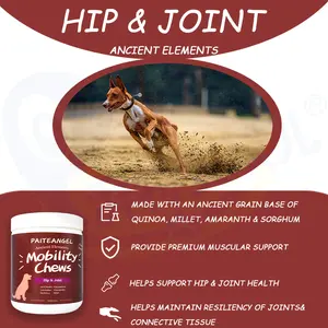 Paiteangel Dog Joint Chews Supplements 윤활 탄력성 유지 고급 엉덩이 및 관절 개 공동 보충 교재