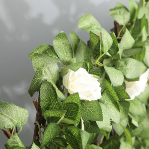 Foglia piante vite verde muro artificiale di colore verde naturale pastorale recinzione retrattile - Product Image 5