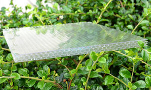 Feuilles de panneau d'éclairage transparentes au soleil fumé Feuille en nid d'abeille en <span class=keywords><strong>polycarbonate</strong></span> <span class=keywords><strong>Serre</strong></span> de jardin - Product Image 3