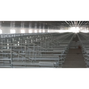 Caisse de mise bas cochon haute qualité 2400X1800Mm élevage porcin équipement d'élevage porcin conceptions personnalisées fabriquées au Vietnam fabricant - Product Image 5