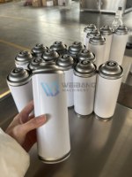 Ligne de production de machines de remplissage d'aérosols pour spray de maquillage automatique, spray solaire waterproof, spray hydratant