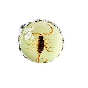 Anello con Insetto Regolabile in Resina, Gioiello Luminoso al Buio con Vero Scorpione Giallo e Nero per Uomo - Product Image 3