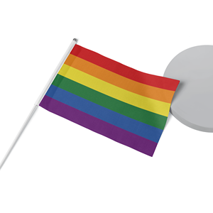 ธงไพรด์ LGBT แบบขายส่ง ธงมินิพกพาสีรุ้งสำหรับงานอีเว้นท์ ทำจากโพลีเอสเตอร์ รับผลิตตามสั่ง - Product Image 3