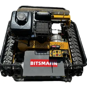 Bitsmann marque BSM29 télécommande démarrage électrique jardin mini tondeuse à gazon machine de découpe d'herbe à vendre