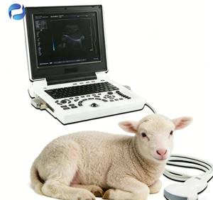 Draagbaar digitaal <span class=keywords><strong>Doppler</strong></span>-echoscopie systeem voor dierenartsen, kleuren-<span class=keywords><strong>Doppler</strong></span> bewakingsapparatuur - Product Image 2