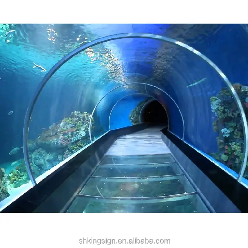 Veilig Project Transparant Plexiglas Acryl Tunnel Voor Aquaria Windows