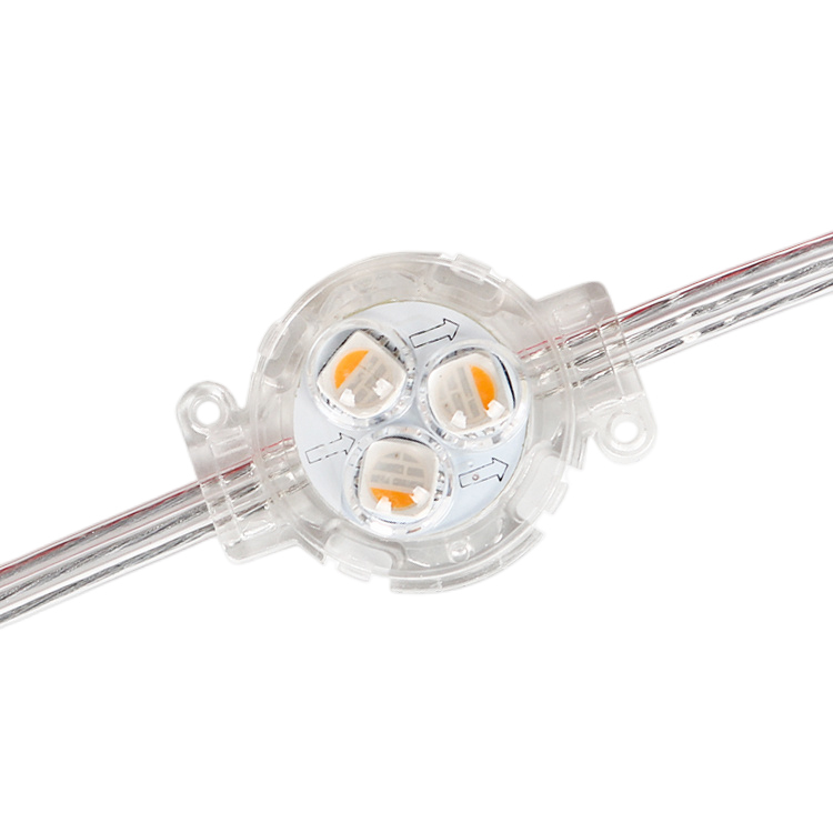 30mm Rgbw Rgbw 3000k 6000k Pixel Led Point Light Ucs2904 Waterproof DC12V Permanent Fixed Dream Color IC LED Point String Light