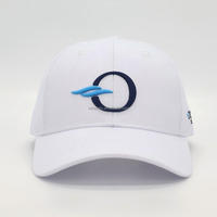 Gorra de Béisbol Personalizada de Alta Calidad de 6 Paneles con Visera Curva, Gorra Blanca Perforada con Corte Láser y Logotipo Bordado