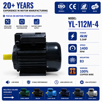 Moteurs électriques à induction monophasés AC série YL 220v 4kw 5.5hp pour pompes