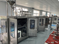 Machine de remplissage horizontale économique pour sachets Doypack, pour Ketchup, Crème, Miel, Jus, Huile, Détergent – Équipement à double voie