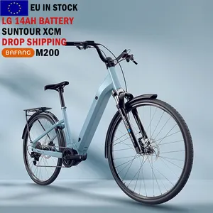 BAFANG M200 250 Watt Electric Delivery Bike Europe Stock Moped With Pedals E-bike Eu Warehouse
