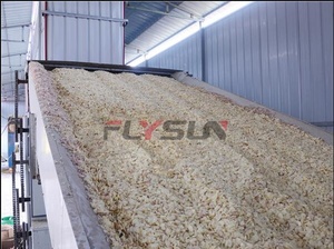 Sécheuse à bande maillée à entraînement par engrenage contrôlée par PLC automatique Flysun pour la déshydratation de l'ail et des épices, haute efficacité, personnalisable - Product Image 2
