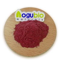 Poudre de carmin de cochenille de haute pureté E120 Colorant rouge naturel pour l'alimentation et les cosmétiques