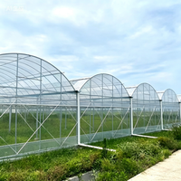 Grande serre agricole à simple travée en acier galvanisé, système de culture hydroponique NFT complet, conteneur de culture vertical