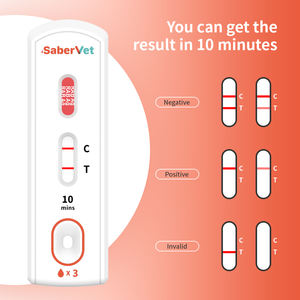 Kit de Teste Diagnóstico Rápido de Antígeno de Raiva OEM ODM de Alta Qualidade para Uso Veterinário - Product Image 4