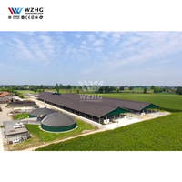 Nouveau design Structure en acier préfabriqué chinois hangar de construction de chèvres de moutons lourds à bas prix