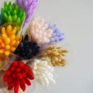 M85 fiori secchi colorati coniglietto <span class=keywords><strong>piante</strong></span> floreali coniglio erba Bouquet decorazione per la casa accessori foto naturale Lagurus Ovatus - Product Image 5