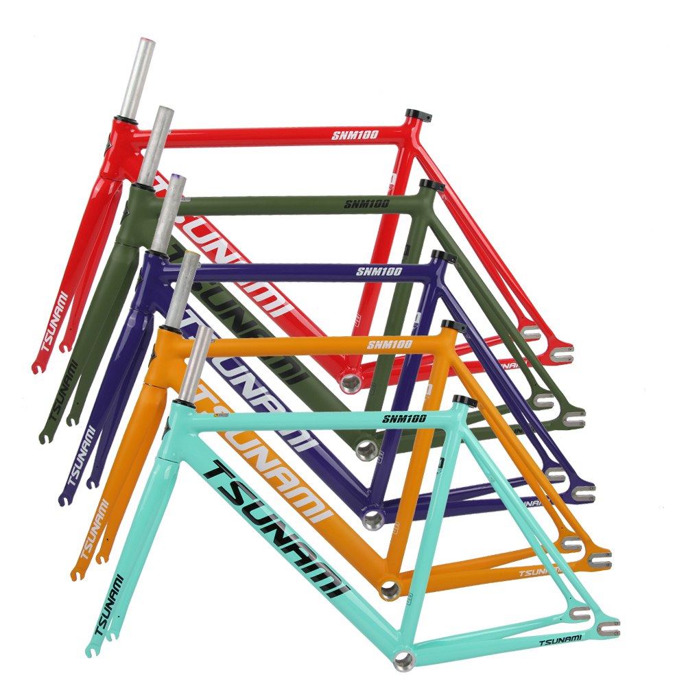 TSUNAMI SNM100 Chameleon 55CM　フレーム Chameleon Frame TSUNAMI SNM100 Fixie Frame Single Speed
