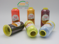 Fil à broder informatisé haute ténacité 100% polyester teint pour point de croix, crochet, vêtements et décoration intérieure