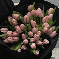 Kertas Kado Gulung Warna Solid Evergreenwrap, Kertas Pembungkus Buket Bunga, Perlengkapan Florist DIY, Bahan Kemasan Bunga Buatan Tangan