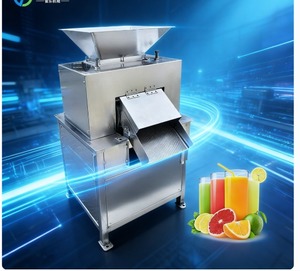 Máquina Automática para Producción de Jugo de Frutas, Extractor de Jugo de Frutas - Product Image 4
