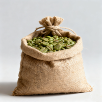 Grains de café aromatisés à la pastèque, verts et torréfiés entiers, idéaux pour la torréfaction et la préparation de boissons glacées en caféterie