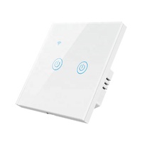 Interruptor Inteligente WiFi de 2 Canales, Controlador de Iluminación de Pared de Vidrio, Estándar EU/UK, Sin Cable Neutro, 10A Máx. Compatible con Smart Life Touch