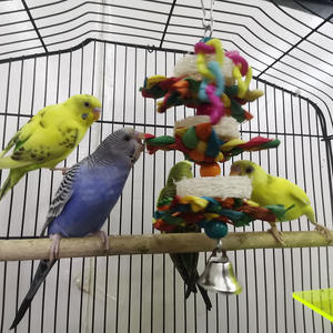 Vendita calda colorato trecce di mais di seta melone pappagallo giocattoli da masticare catena uccello campana giocattoli per animali domestici - Product Image 5