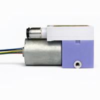 Pompe 12V sans balais à double chambre micro 32, débit stable, 4L/min, système de contrôle OEM de haute qualité garanti