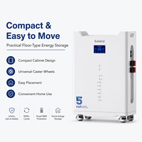 Batterie solaire résidentielle 51V 100Ah avec garantie de 10 ans, vente directe usine, compatible 48V 100Ah et 51.2V 100Ah, pack de stockage solaire 5kWh