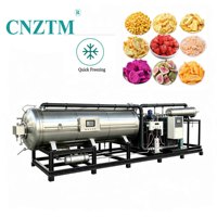 Industriële grote vacuümvriesdroger 200kg 300kg 500kg Vriesdroogmachine voor fruit, groenten en vlees