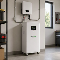 Batterie solaire domestique LiFePO4 EU 16KWH 51.2V EVE MB31 314AH avec équilibreur actif 2A et BMS JK V19 200A pour stockage d'énergie solaire